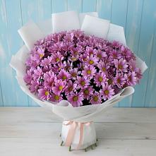 Букет цветов из:  Хризантемы #REPLACE_PRED# Октябрьский Тульская область
