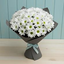 Букет цветов из:  Хризантемы в Октябрьский Тульская область