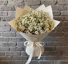 Букет цветов из:  Ромашки в Октябрьский Тульская область