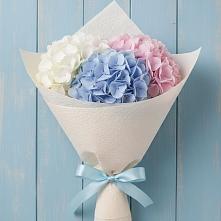 Букет цветов из:  Гортензия в Октябрьский Тульская область