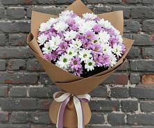 Букет цветов из:  Хризантемы в Октябрьский Тульская область