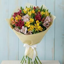 Букет цветов из:  Альстромерии в Октябрьский Тульская область
