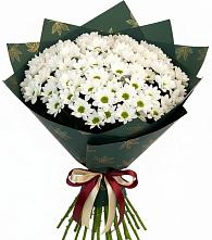 Букет цветов из:  Хризантемы #REPLACE_PRED# Октябрьский Тульская область