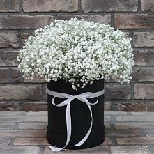 Цветочная композиция из Гипсофила в шляпной коробке в Октябрьский Тульская область