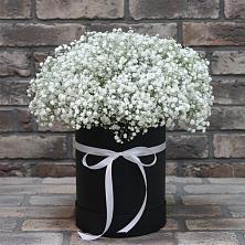 Цветочная композиция из Гипсофила в шляпной коробке в Октябрьский Тульская область